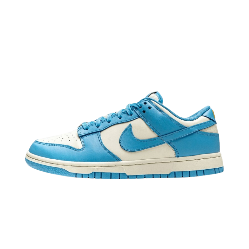 Nike Dunk Low Coast (W)